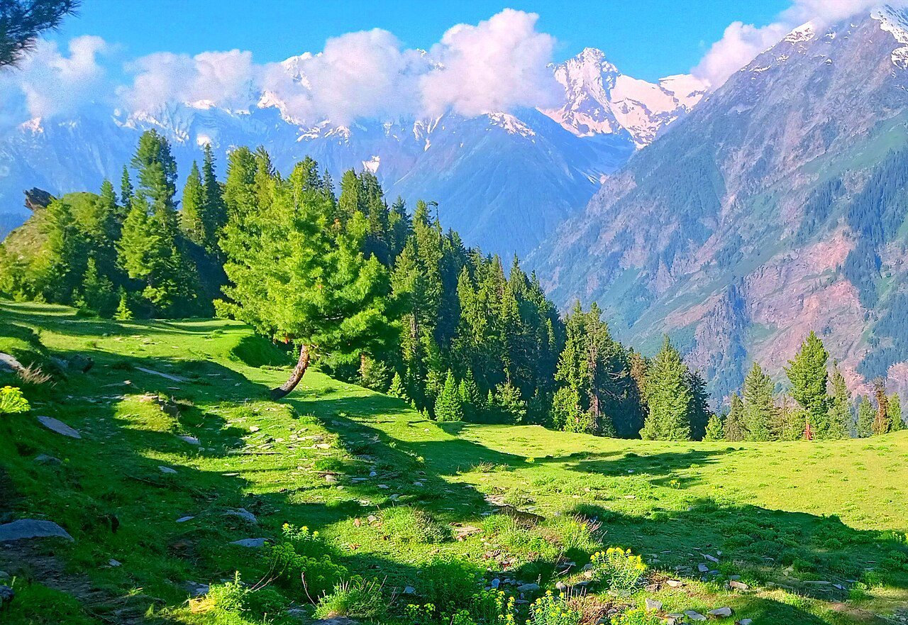 pangi valley